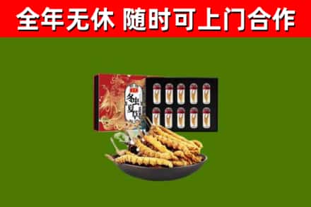 门源县烟酒回收冬虫夏草礼盒.jpg
